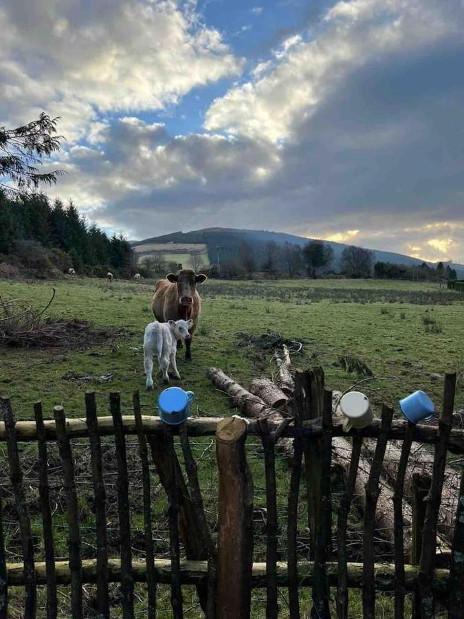 Aughavannagh Yurt Glamping Охрим Экстерьер фото